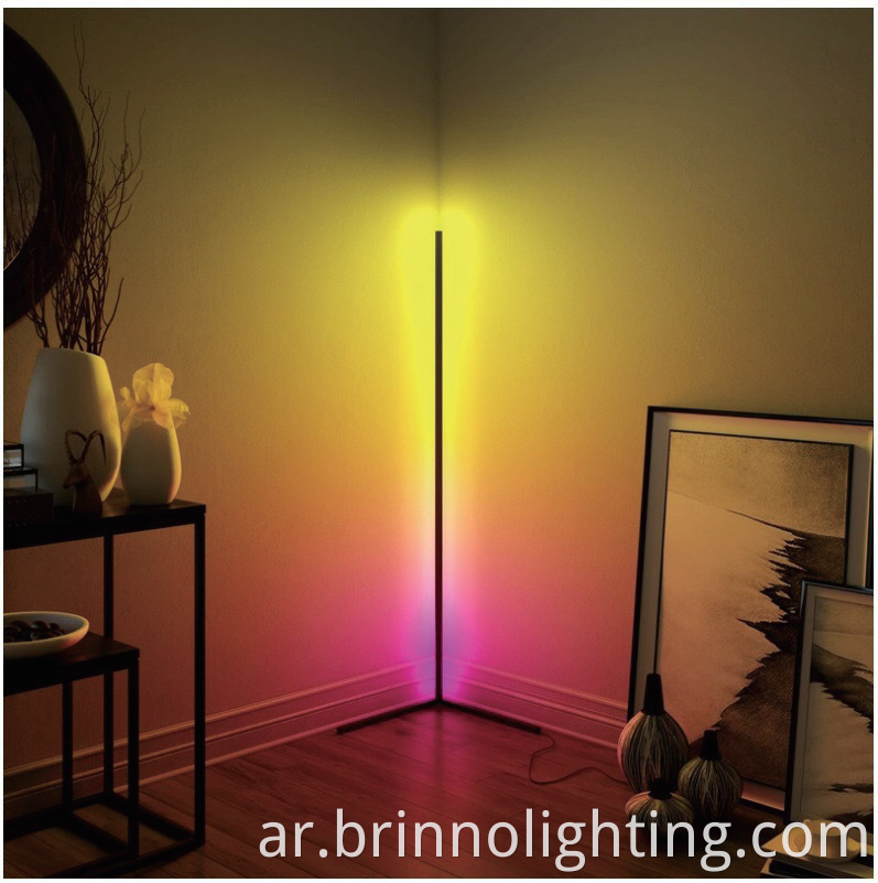 LED Corner Floor Lamp